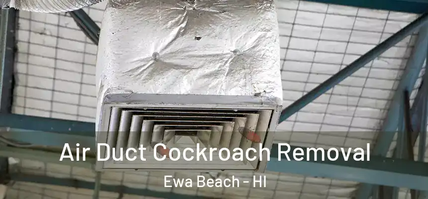  Air Duct Cockroach Removal Ewa Beach - HI