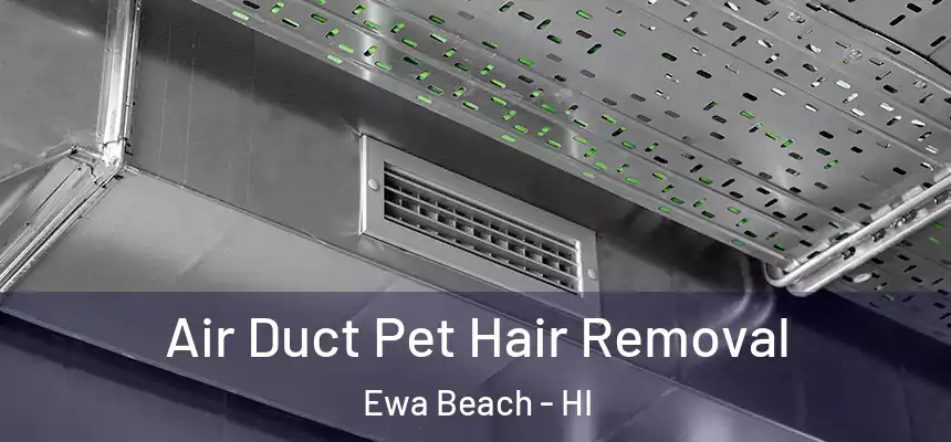  Air Duct Pet Hair Removal Ewa Beach - HI