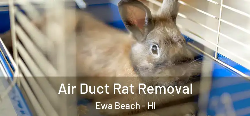  Air Duct Rat Removal Ewa Beach - HI