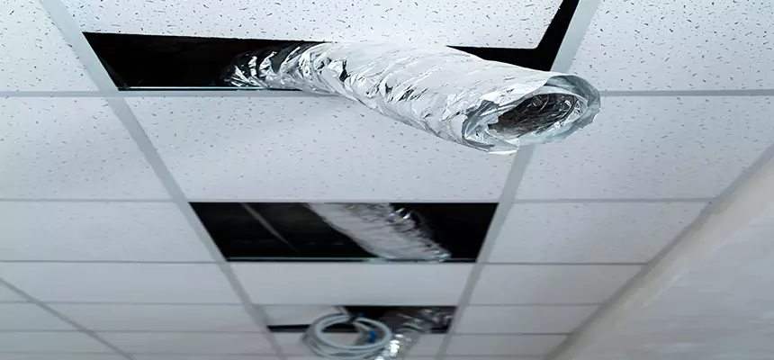 Affordable HVAC Sanitizing After Pest Removal in Ewa Beach