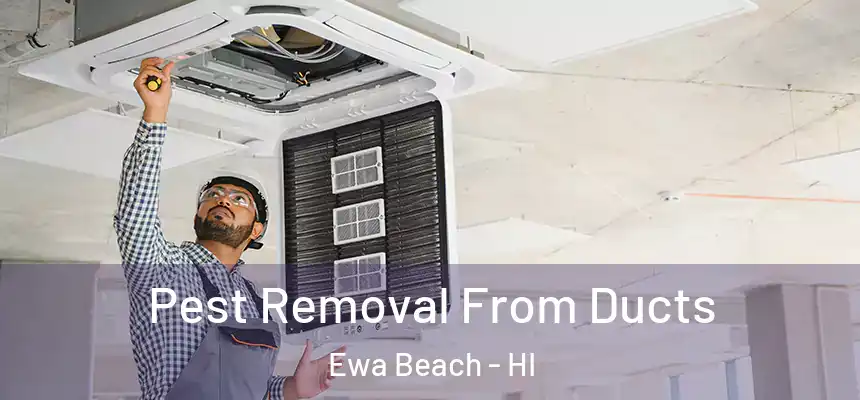  Pest Removal From Ducts Ewa Beach - HI