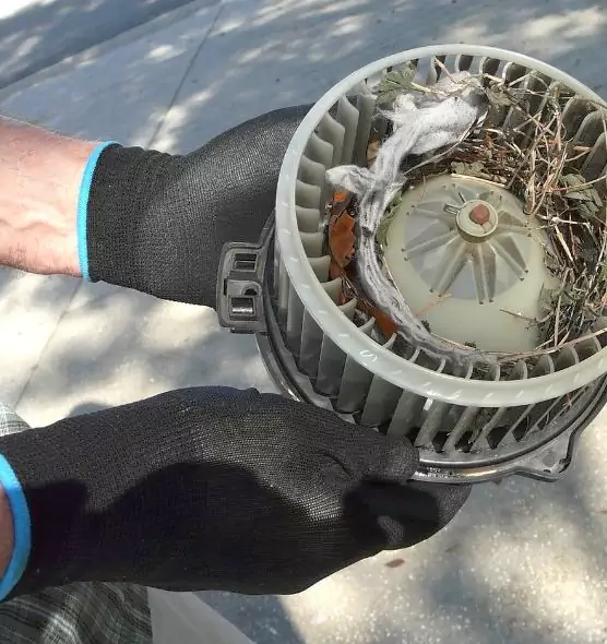 About Air Duct Rat Removal in Ewa Beach, HI