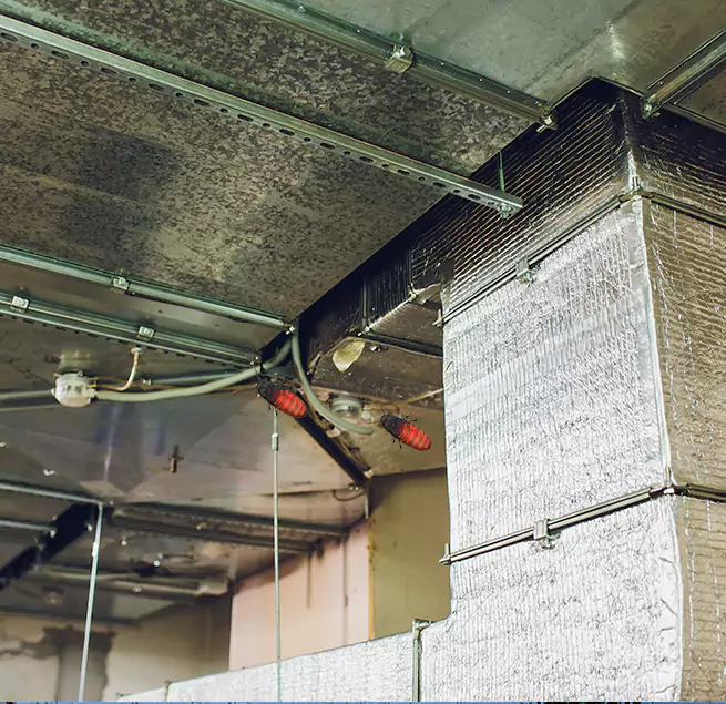 Why Homeowners & Businesses Trust Us in Ewa Beach, HI?