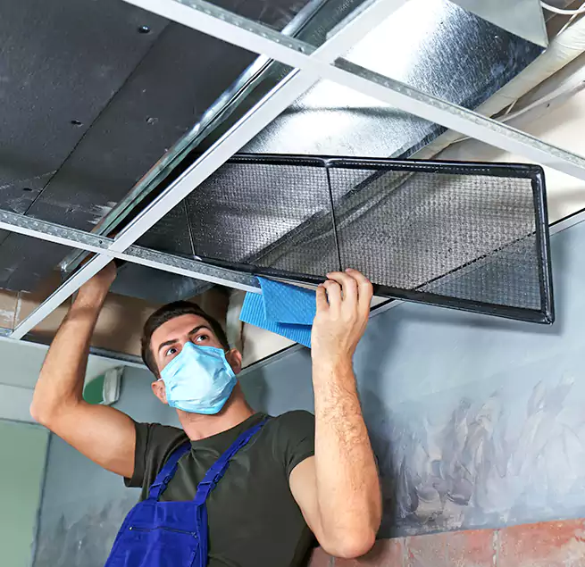 Why Homeowners Businesses Trust Us in Ewa Beach, HI