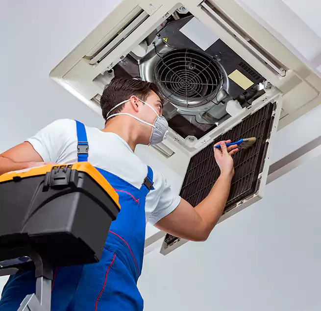 Why Homeowners & Businesses Trust Us in Ewa Beach, HI