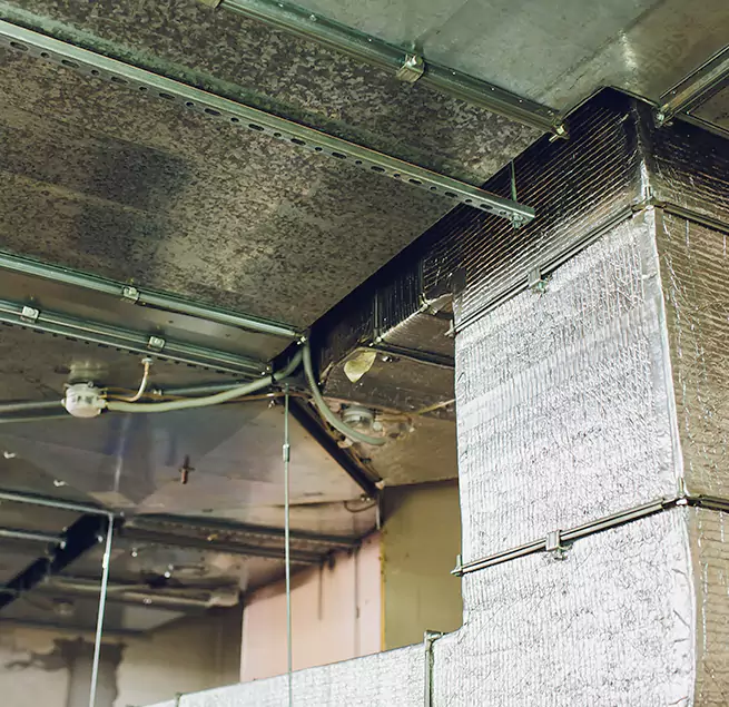 Why Homeowners & Businesses Trust Us in Ewa Beach, HI?